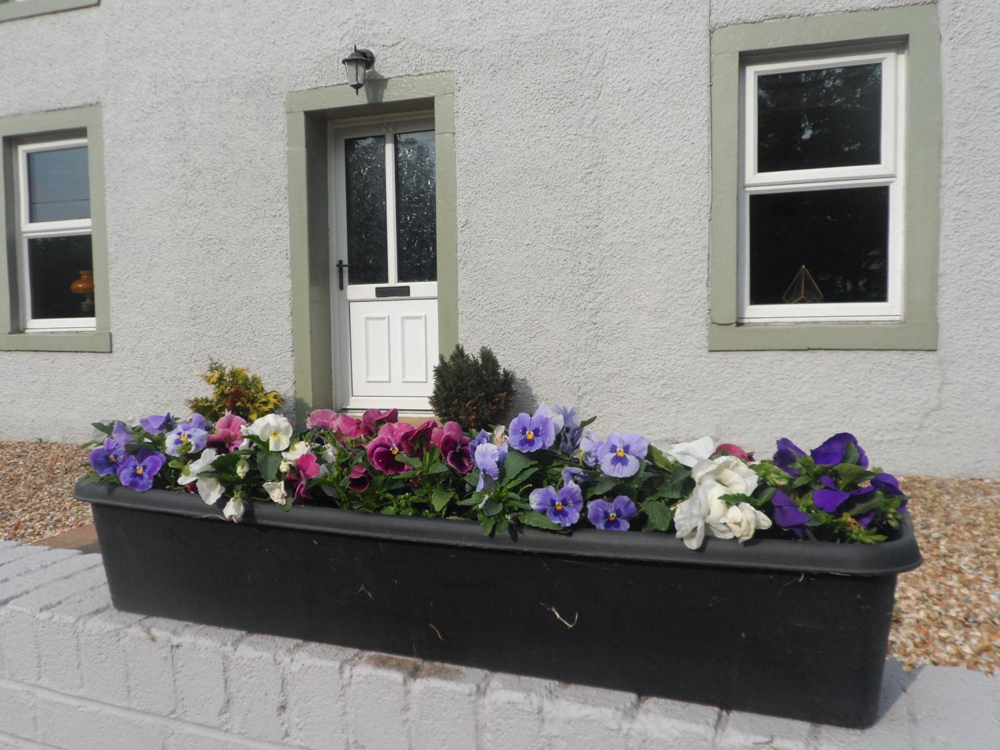 Midtown Farm Bed & Breakfast Easton  Zewnętrze zdjęcie